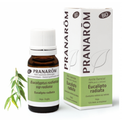 PRANAROM ACEITE ESENCIAL EUCALIPTO RADIATA 10ML