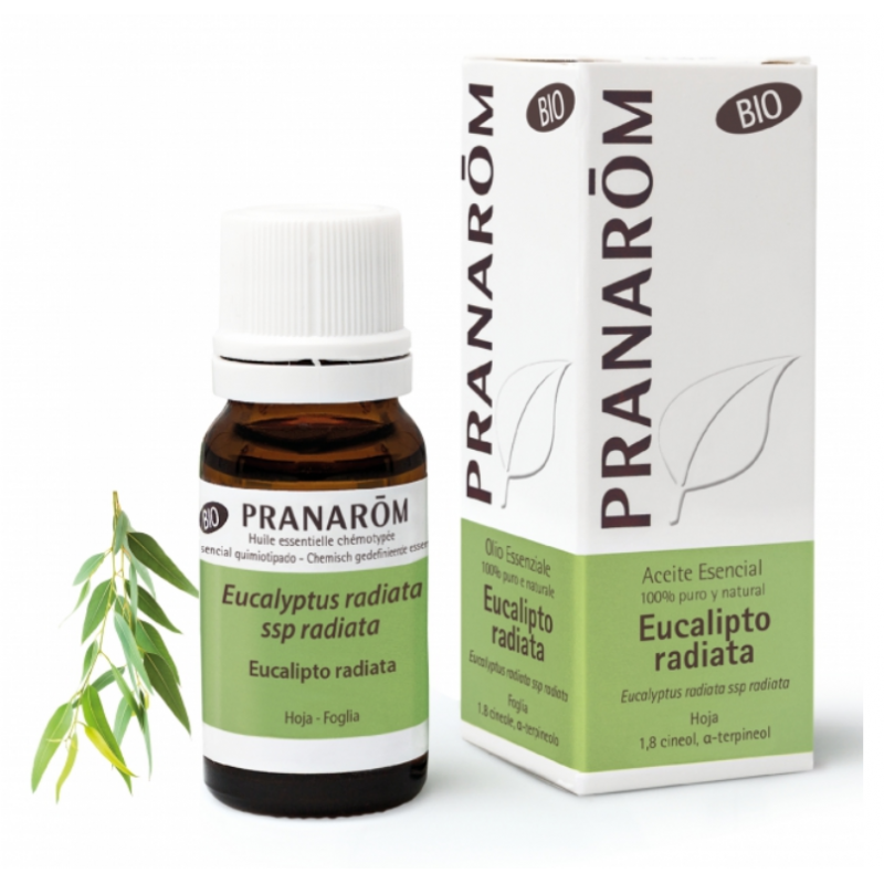 Comprar Pranarom Aceite Esencial Eucalipto Radiata 10ml