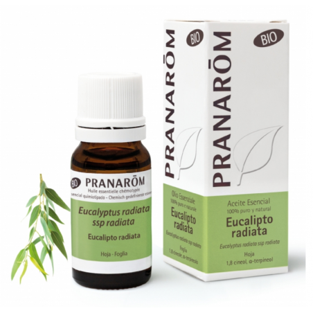 PRANAROM ACEITE ESENCIAL EUCALIPTO RADIATA 10ML