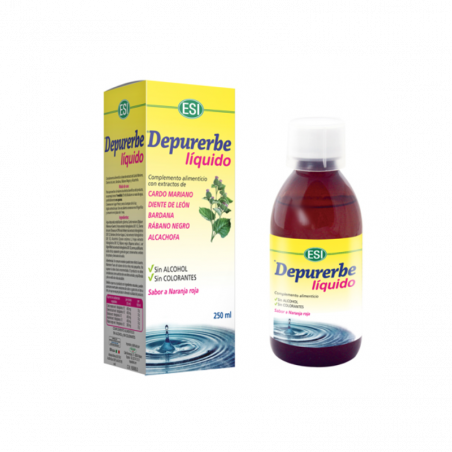 DEPURERBE LÍQUIDO JARABE 250ML