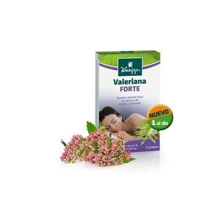VALERIANA KNEIPP FORTE VALERIANA KNEIPP FORTE