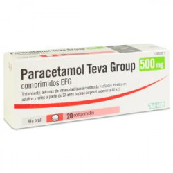 PARACETAMOL TEVA GROUP 500 mg COMPRIMIDOS