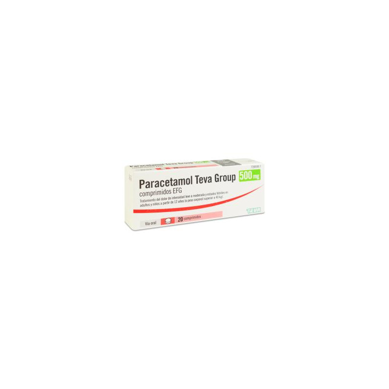 PARACETAMOL TEVA GROUP 500 mg COMPRIMIDOS