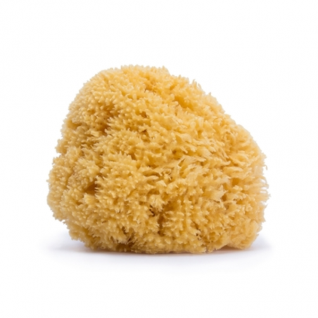 SUAVINEX ESPONJA NATURAL GRANDE 1U