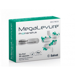 MEGALEVURE PROTRANSITUS