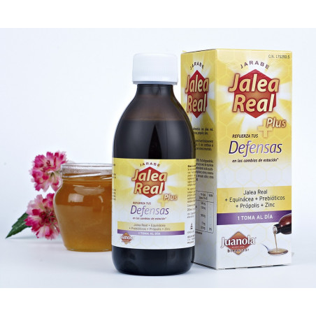 JUANOLA JALEA REAL PLUS DEFENSAS ADULTOS JARABE 250ML JUANOLA JALEA REAL PLUS DEFENSAS ADULTOS JARABE 250ML