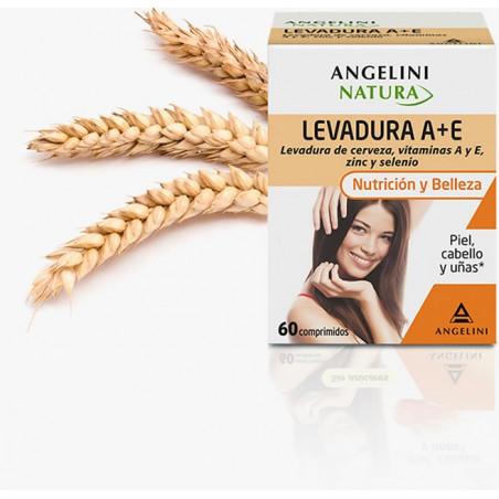 LEVADURA A+E ANGELINI 60 COMP LEVADURA A+E ANGELINI 60 COMP