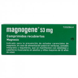 MAGNOGENE 53 mg COMPRIMIDOS RECUBIERTOS