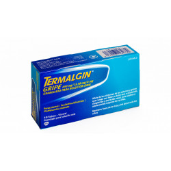 TERMALGIN GRIPE 10 SOBRES